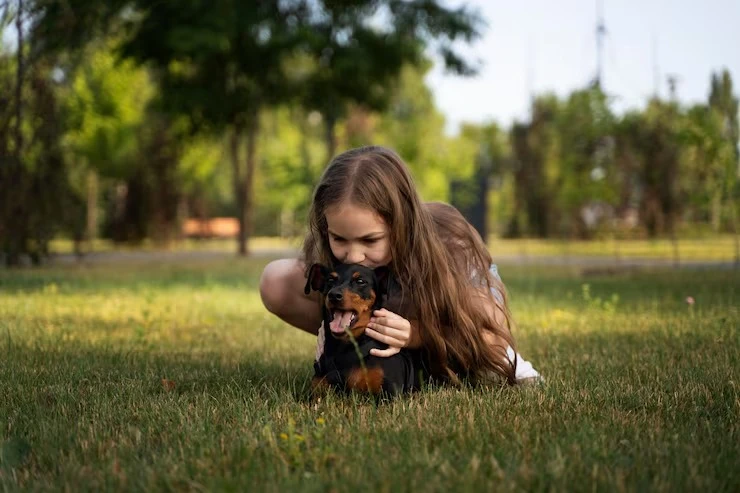 Hotelzinho para cães em Limeira